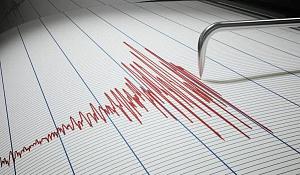«Пилот» системы оповещения при землетрясениях обещают внедрить в Алматы до 1 июня