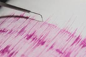 Earthquake measuring 3.8 points hit in Almaty region