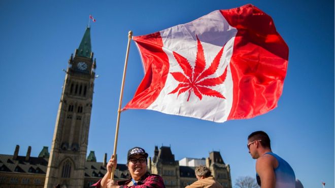 Canada legalizes recreational cannabis use