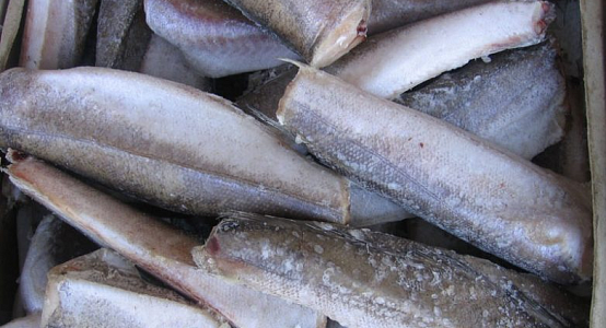 Ministry of Ecology of Kazakhstan proposed to ban export of chilled and frozen fish