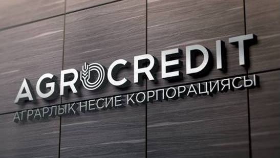 Задержан управляющий директор «Аграрной кредитной корпорации» Казахстана