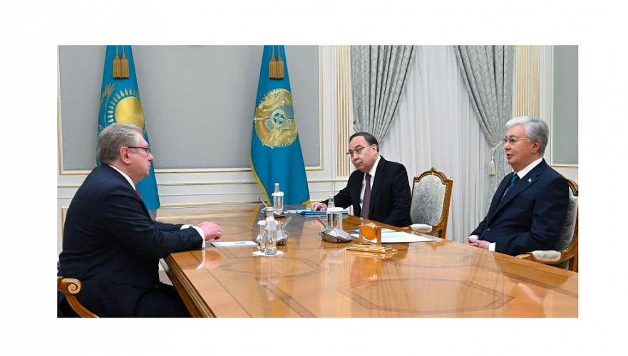 Tokayev received director of Institute of Diplomacy