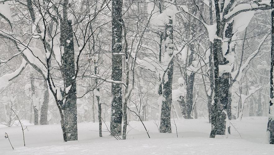 Қазақстанда алдағы үш күні қар, бұрқасын, екпінді жел күтіледі 