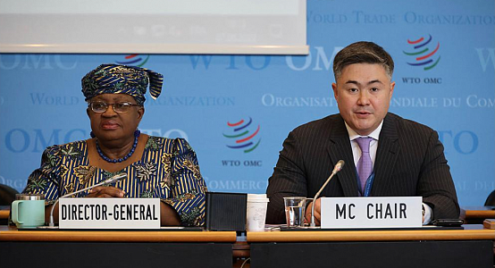 Kazakhstan's chairmanship of WTO MC-12 ended with historic success - Akorda