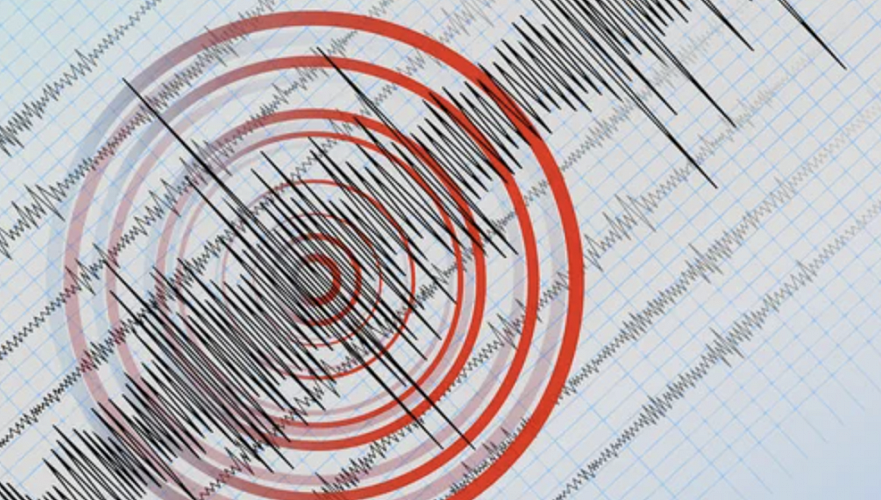 MES about earthquake in Almaty region: No damage detected