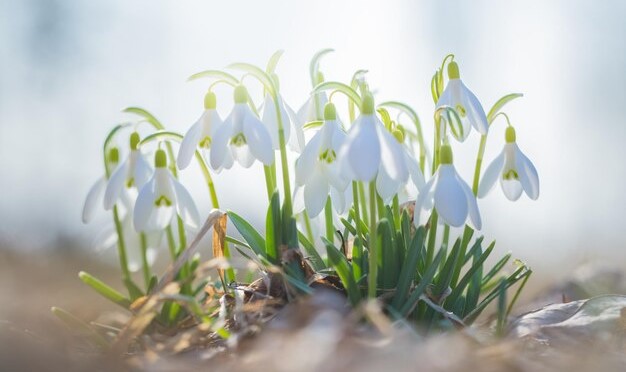 How many days off will Kazakhstani people have in March