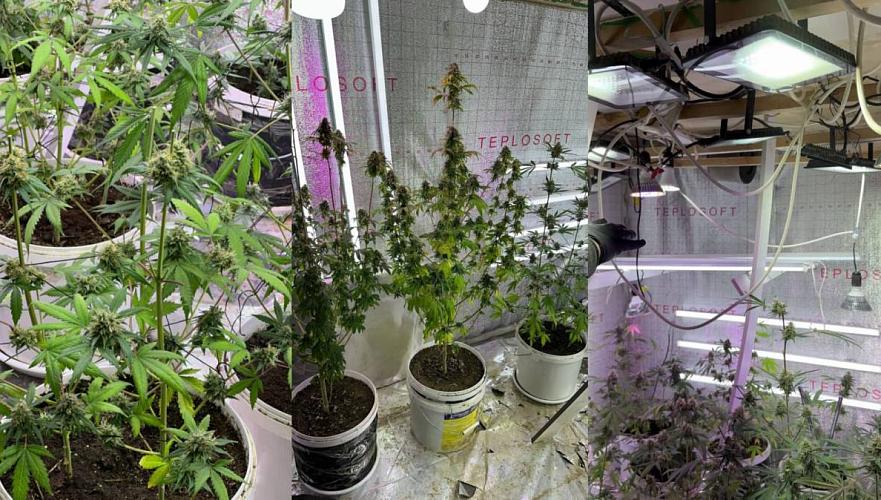 Underground phytolaboratory discovered in Aktau