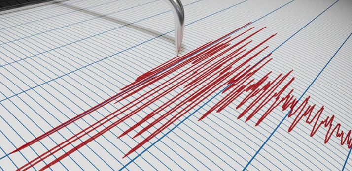 Almaty residents felt earthquake