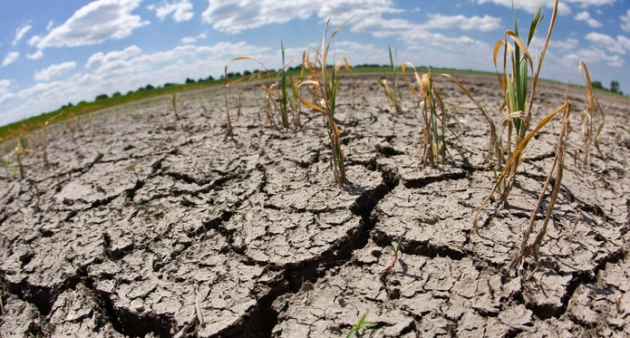 Засуха ожидается в июне в отдельных районах трех областей Казахстана