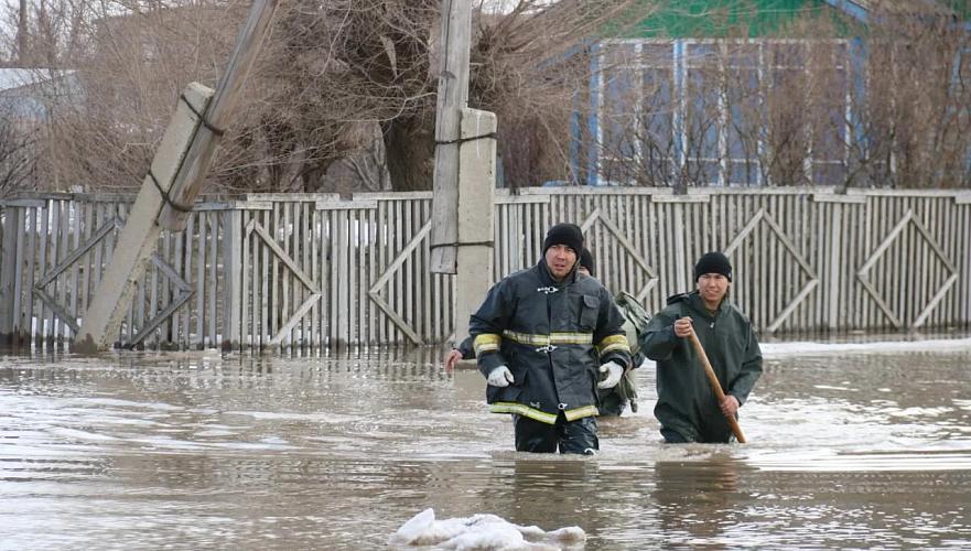 Токаев о периодах паводков и природных пожаров: Нужно держать на контроле 