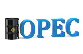 Minister of Energy will present Kazakhstan at OPEC+ meeting in Vienna