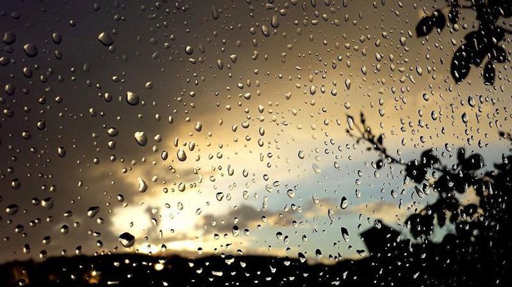 Дожди ожидаются в пятницу в ряде областей Казахстана