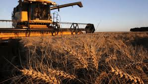 Более Т200 млн долгов по зарплате взыскали с зерновой компании в СКО