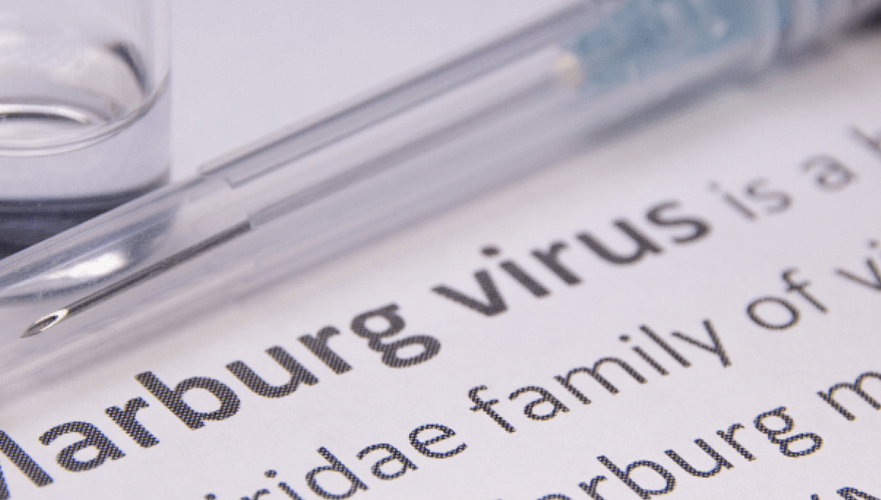 Kazakhstan tightens control over Marburg virus threat