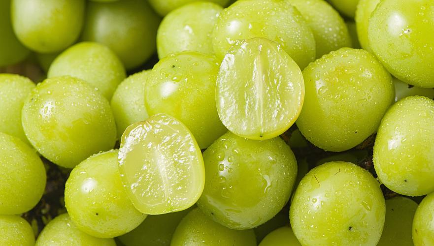 Ministry of Agriculture of Kazakhstan did not find harmful organisms in notorious Korean grapes