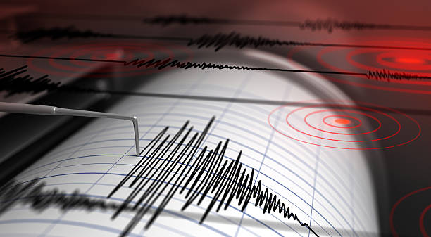 Almaty residents felt earthquake