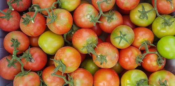 Казахстан временно ограничил ввоз томатов из Азербайджана и уведомил об этом Россию