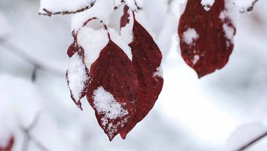 Қазақстанның басым өңірінде сейсенбі күні жаңбыр мен қар жауады деп күтілуде