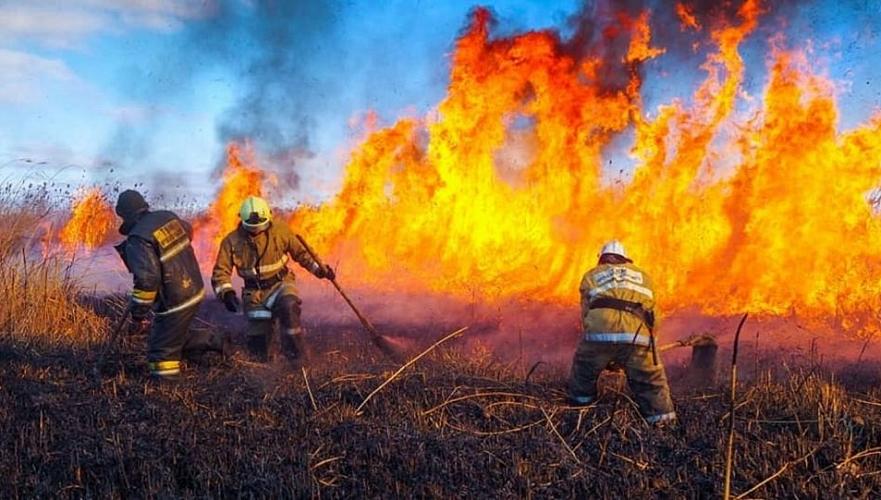 Четверо получили ожоги при пожаре на 3 тыс. га территории двух областей Казахстана