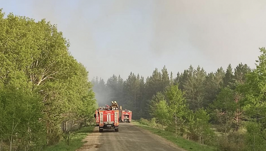 Пожар в области Абай находится под контролем