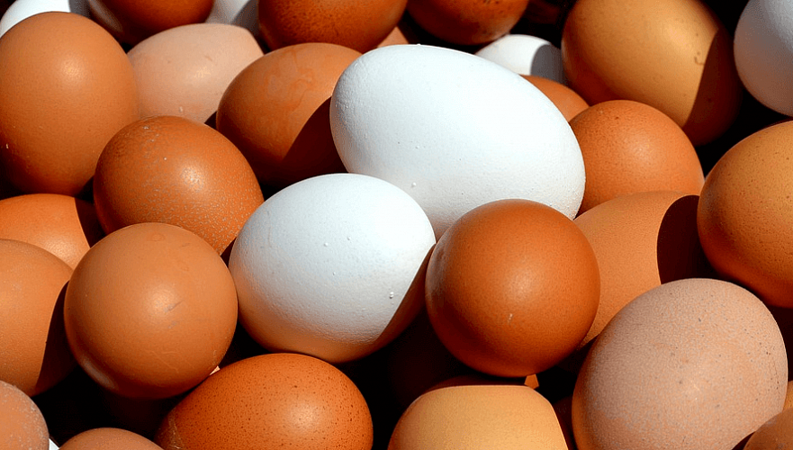Ограничение цен на яйца может вызвать дефицит, лучше сократить число посредников – эксперт