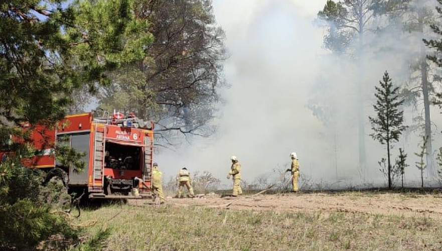 Резерват «Семей орманы» собирается закупить пожарную технику на более Т1 млрд