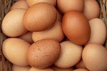 Subsidies for egg production increased in Kazakhstan