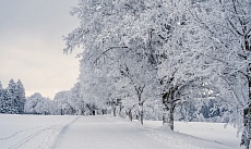 Сейсенбі күні Қазақстанның кей өңірлерінде жауын-шашын күтіледі 