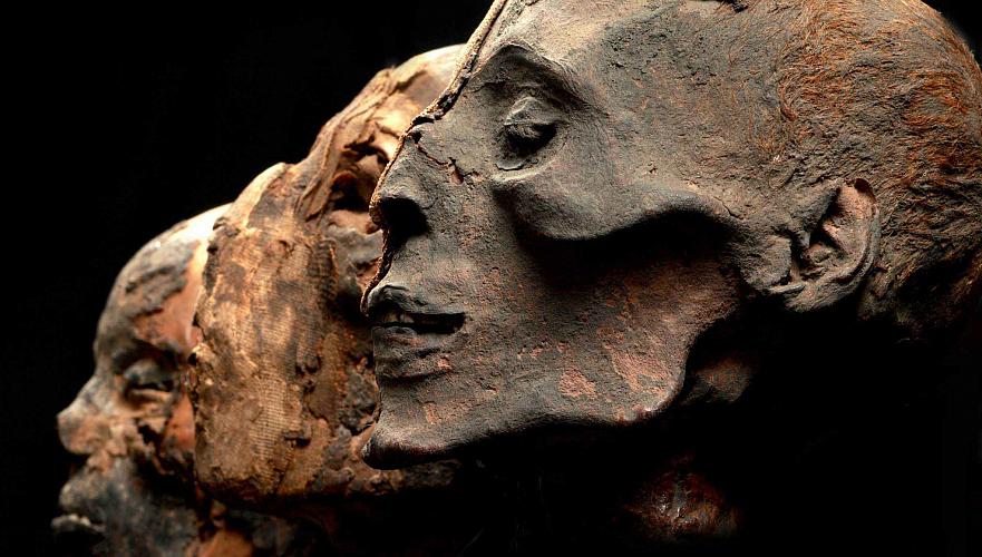 «Фабрика мумий» обнаружена в древнейшем некрополе Египта