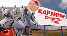 Quarantine imposed due to new outbreak of anthrax in the Kostanay region