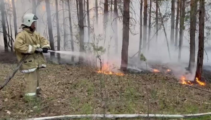 Площадь пожара в области Абай значительно сократилась – Уранхаев