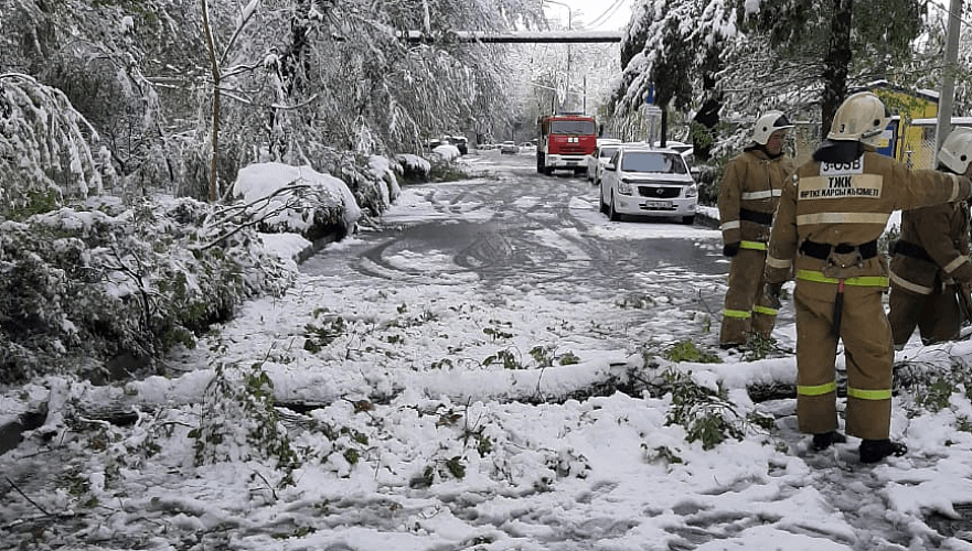 Четыре района Шымкента обесточены после обильного снегопада, повреждены более 20 авто
