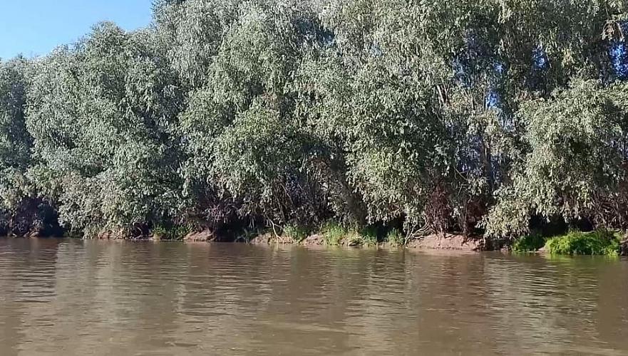 Дальнейшего повышения уровня воды в реках Кигач и Шароновка ожидают в Атырауской области
