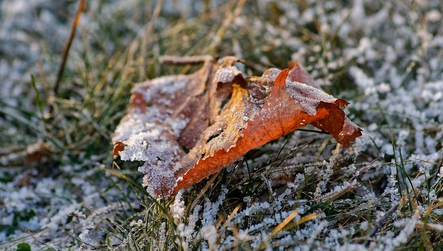 Қазақстанның бірқатар өңірінде жауын-шашын және үсік күтіледі