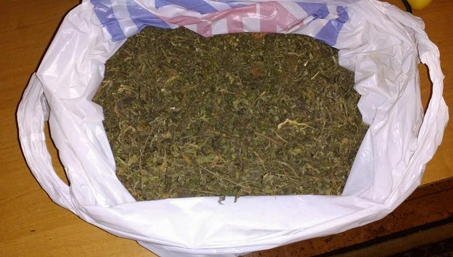 Более 47 кг марихуаны изъято в ходе спецоперации в Усть-Каменогорске