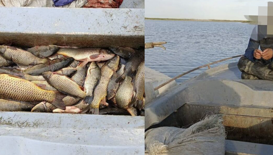 Рыбаки выловили 130 кг рыбы на запрещенной зоне Аральского моря
