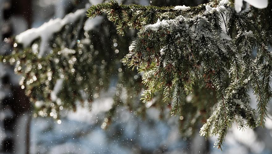 Жұма күні Қазақстанның басым өңірінде қар аралас жаңбыр күтіледі 