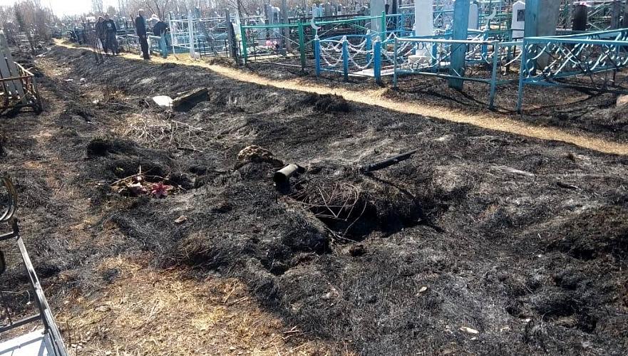 Кладбище сожгли в Петропавловске (видео)