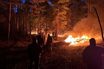 «Семей орманы» и три области Казахстана оказались не готовы к возможным природным пожарам