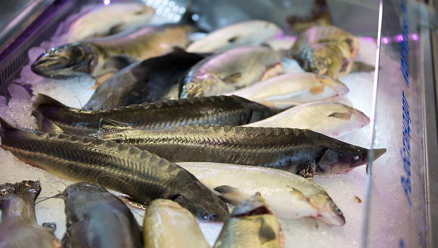 Ввозные пошлины на отдельные виды рыб на три года обнулили в ЕАЭС