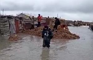 Сразу в шести областях продолжается борьба с паводками в Казахстане